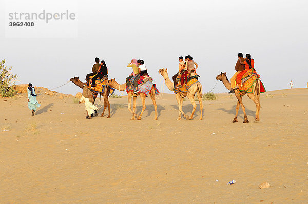 Kamelritt bei den längsten Sanddünen Indiens  in Sam  Rajasthan  Nordindien  Asien