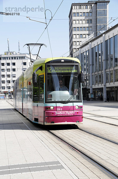 Straßenbahn Linie 12 nach Schwanheim  Bankenviertel  Frankfurt am Main  Hessen  Deutschland  Europa