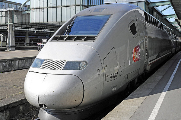 TGV  Zug von Stuttgart nach Paris  Stuttgart  Baden-Württemberg  Deutschland  Europa