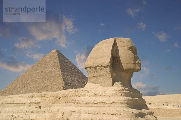 Sphinx und Pyramide von Gizeh  Ägypten  Afrika