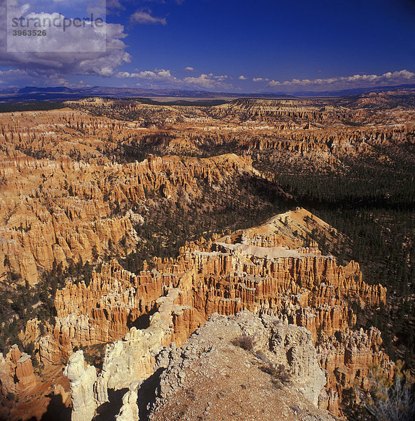 Bryce Canyon Nationalpark  USA