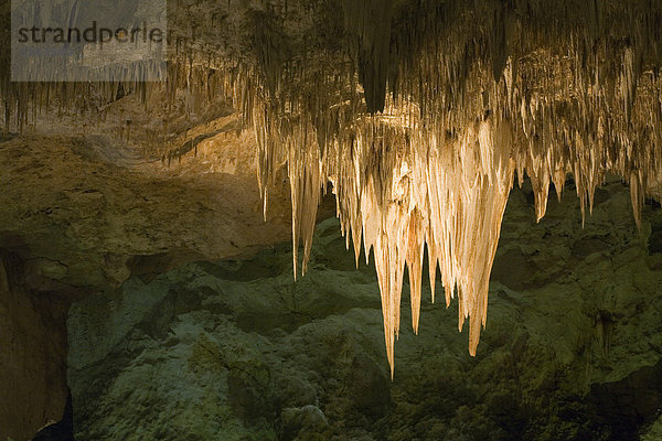 Kalksteinhöhle  Carlsbad Cavern  Carlsbad Caverns Nationalpark  New Mexico  USA