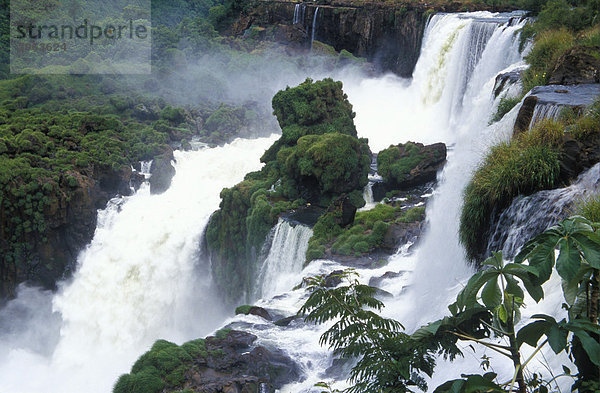 Iguaz_-Wasserfälle  Iguaz_ Nationalpark  Argentinien  Südamerika