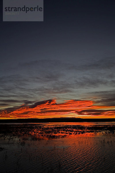 Sonnenaufgang mit Wolken  Bosque de Apache Wildlife Reserve Naturschutzgebiet  New Mexico  USA