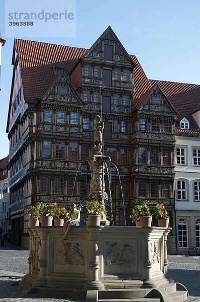 Brunnen und historische Gebäude am Marktplatz  Hildesheim  Niedersachsen  Deutschland