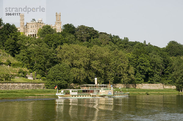 Elbeufer  Elbe  Schloss Eckberg  Schaufelraddampfer der Weißen Flotte  Dresden  Sachsen  Deutschland