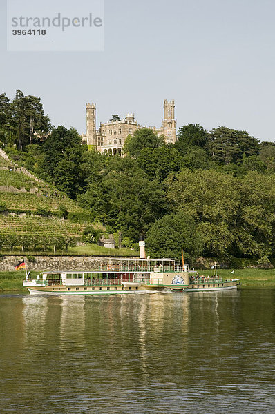 Elbeufer  Elbe  Schloss Eckberg  Schaufelraddampfer der Weißen Flotte  Dresden  Sachsen  Deutschland