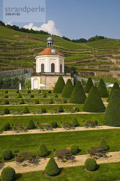 Weingut Schloss Wackerbarth  Garten mit Pavillon Belvedere  Weinberge  Radebeul bei Dresden  Sachsen  Deutschland