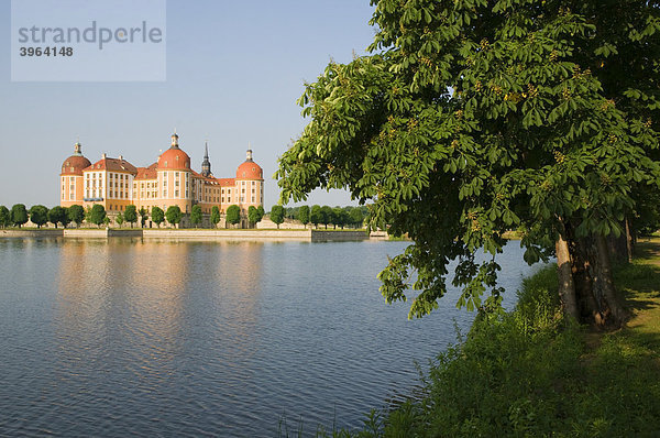 Wasserschloss Schloss Moritzburg mit Schlossteich bei Dresden  Sachsen  Deutschland