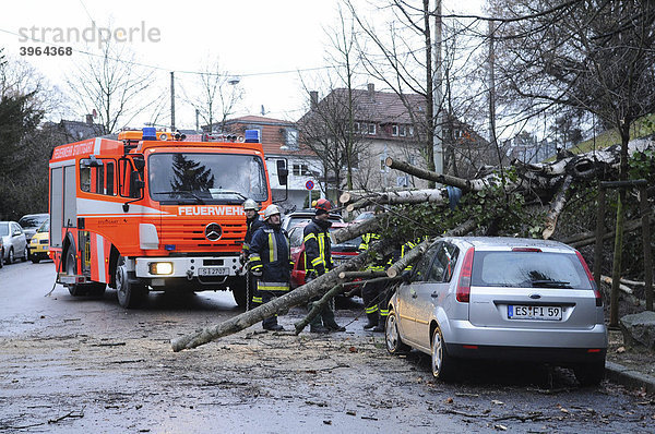 Feuerwehrleute zersägen einen Baum  der auf mehrere PKW fiel  Etzelstraße  Stuttgart  Baden-Württemberg  Deutschland  Europa