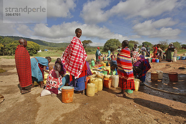 Massai bei künstlicher Wasserstelle  Brunnen  Massaisteppe  Nordtansania  Tansania  Ostafrika  Afrika