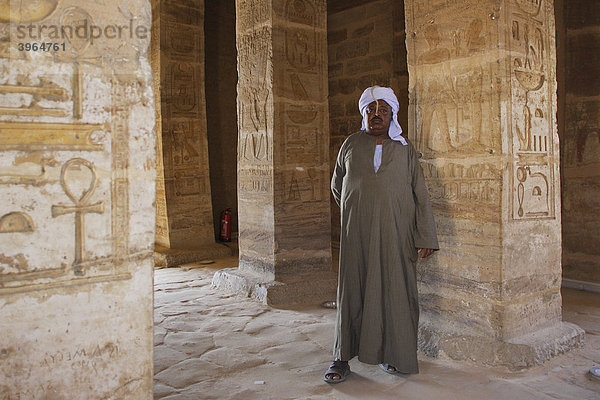 Tempelwächter  Nasserstausee  Nubien  Ägypten  Afrika