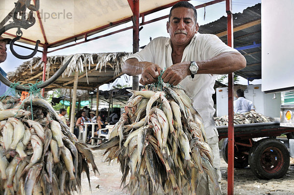 Händler wiegt Fische  La Dorada  Caldas  Kolumbien  Südamerika