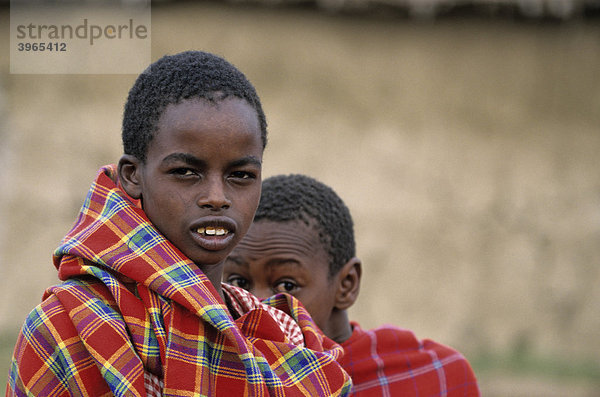 Massai Jungen  Portrait  Kenia  Afrika