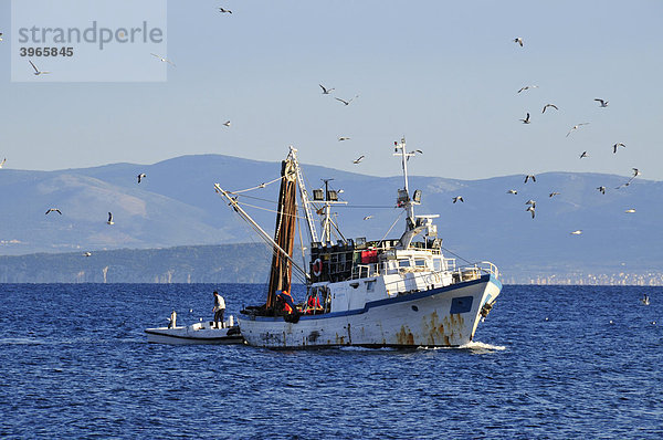 Fischtrawler vor Sutivan  Insel Brac  Dalmatien  Kroatien  Balkan  Europa