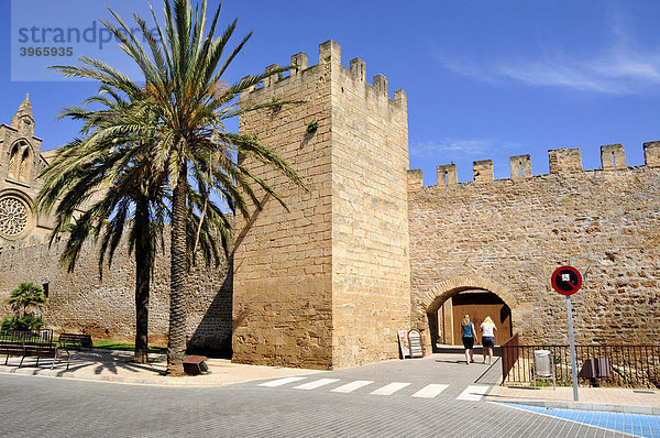 Stadtmauer von Alc_dia  Mallorca  Balearen  Spanien  Europa