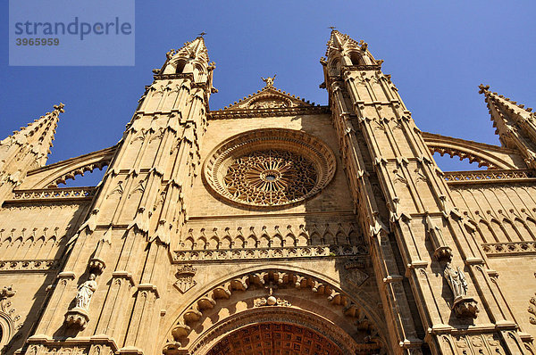 Gotische Kathedrale La Seu  Palma de Mallorca  Mallorca  Balearen  Spanien  Europa