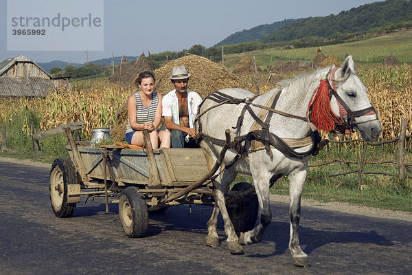 Bauern auf einem Pferdewagen auf einer Landstraße  Maramuresch  Rumänien