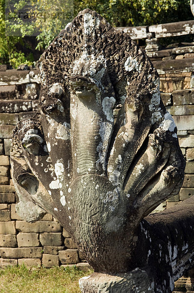 Naga Balustrade  Elefanten-Terrasse  Angkor Thom  Welterbe der UNESCO  Siem Reap  Kambodscha