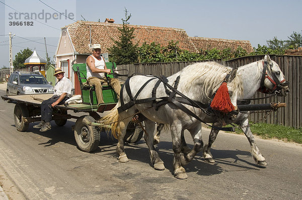 Bauern auf einem Pferdewagen  Sibiel  Transsilvanien  Rumänien