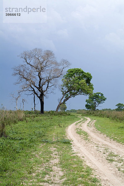 Fazenda San Cristobal  Pantanal Landschaft  UNESCO Welterbe und Biosphärenreservat  Mato Grosso  Brasilien
