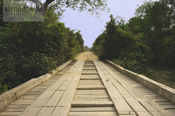 Transpantaneira  Holzbrücke  Pantanal  UNESCO Welterbe und Biosphärenreservat  Mato Grosso  Brasilien