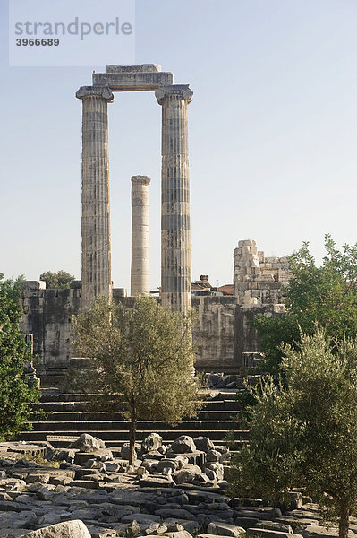 Apollon-Tempel  Ionische Säulen  Didyma  Türkei