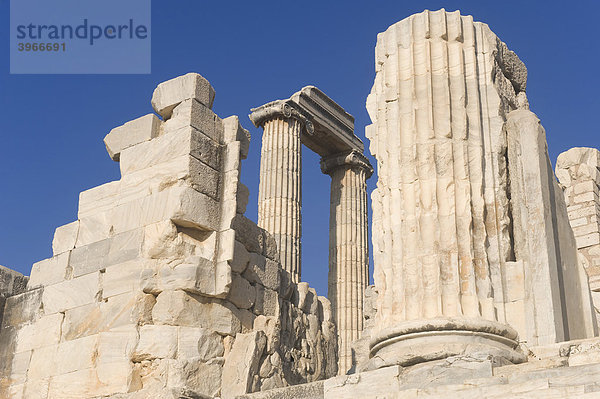 Apollon-Tempel  Ionische Säulen  Didyma  Türkei