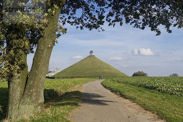 Löwenhügel  Butte du Lion  Ort des Schlachtfeldes von Waterloo  Brabant  Belgien  Europa