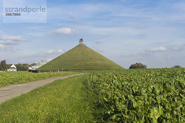 Löwenhügel  Butte du Lion  Ort des Schlachtfeldes von Waterloo  Brabant  Belgien  Europa