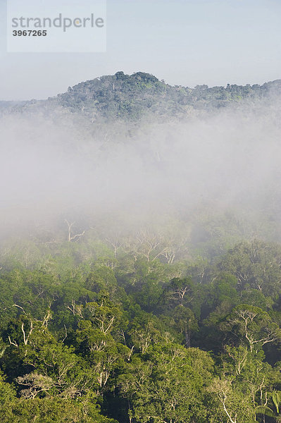 Nebel über dem Amazonas Wald  Cristalino State Park  Alta Floresta  Mato Grosso  Brasilien  Südamerika