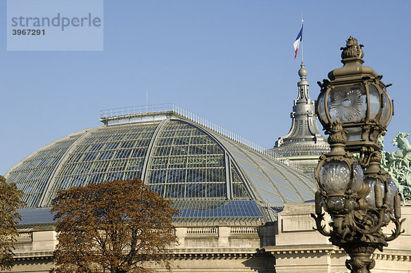 Grand Palais  Glasdach  Paris  Frankreich  Europa