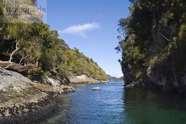 Fjordland Nationalpark  Dusky Sound  Südinsel  Neuseeland