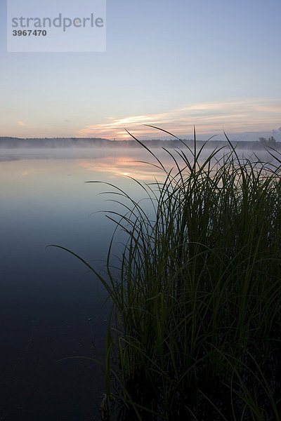 Sonnenaufgang am Knappensee bei Hoyerswerda  Landkreis Bautzen  Sachsen  Deutschland  Europa