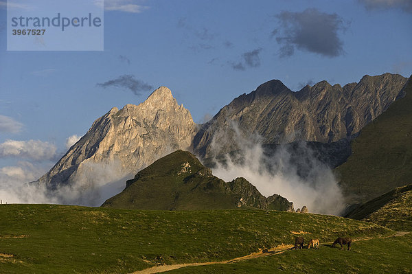 Grand Gabison  Pyrenäen vom Col d'Aubisque  Aquitaine  Frankreich  Europa