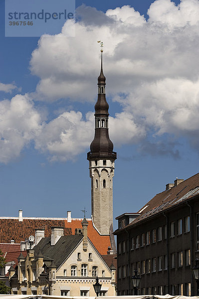 Rathausturm  Tallinn  Estland  Baltikum