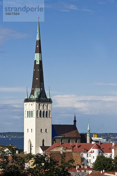 Olafkathedrale  Tallinn  Estland  Baltikum