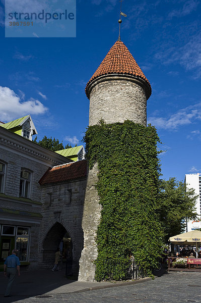 Stadttor  Tallinn  Estland  Baltikum