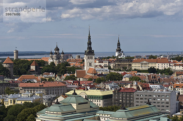 Stadtansicht vom Domberg  Tallinn  Esttland  Baltikum