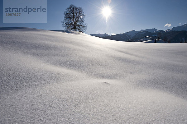 Tief verschneite Winterlandschaft  Achenkirch  Tirol  Österreich