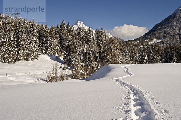 Tief verschneite Winterlandschaft mit Schneeschuhspur und Guffert  Achenkirch  Tirol  Österreich