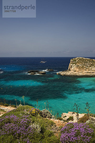 Blue Lagoon  von Comino  Malta