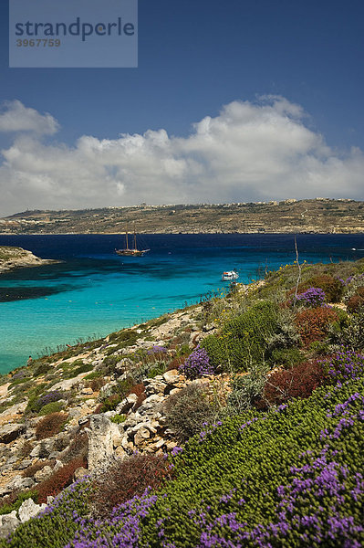 Blue Lagoon  von Comino mit Blick auf Gozo  Malta