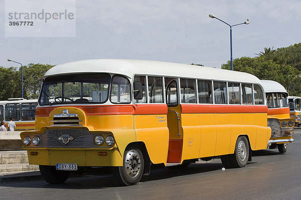 Typischer alter Bus  Malta