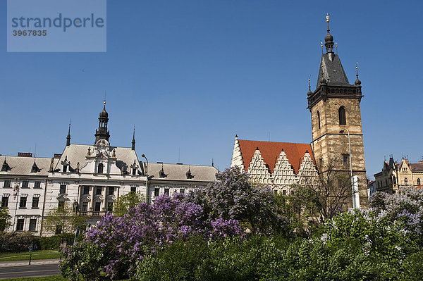 Neustädter Rathaus  Prag  Tschechien  Europa