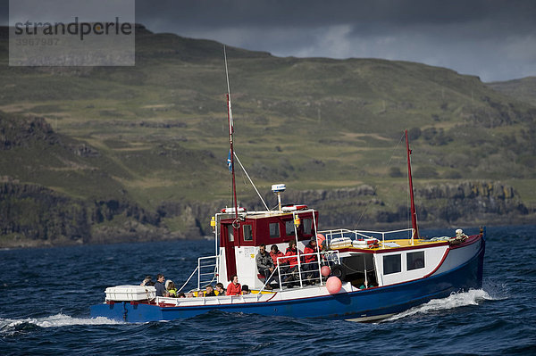 Fischerboot vor den Inneren Hybriden  Isle of Mull  Schottland  Großbritannien  Europa