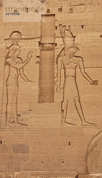 Reliefs  Felsinschriften  Assuan Tempel  Ägypten  Afrika
