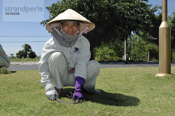 Vietnamesische Arbeiterin  mäht den Rasen mit einer Sichel  Handarbeit  Nui Ba Den  Tay Ninh  Vietnam  Asien