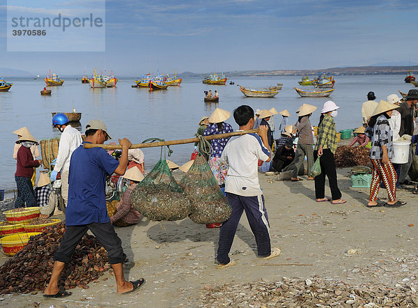 Fischer tragen Körbe mit Fisch  Frauen am Fischmarkt  Strand von Mui Ne  Vietnam  Asien