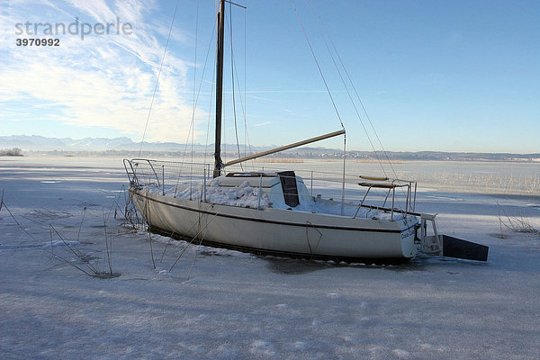 Eingefrorenes Segelboot im Starnberger See  Ambach  Bayern  Deutschland